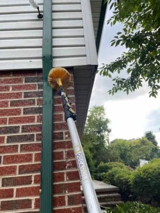 Bulwark Exterminating Picture 10