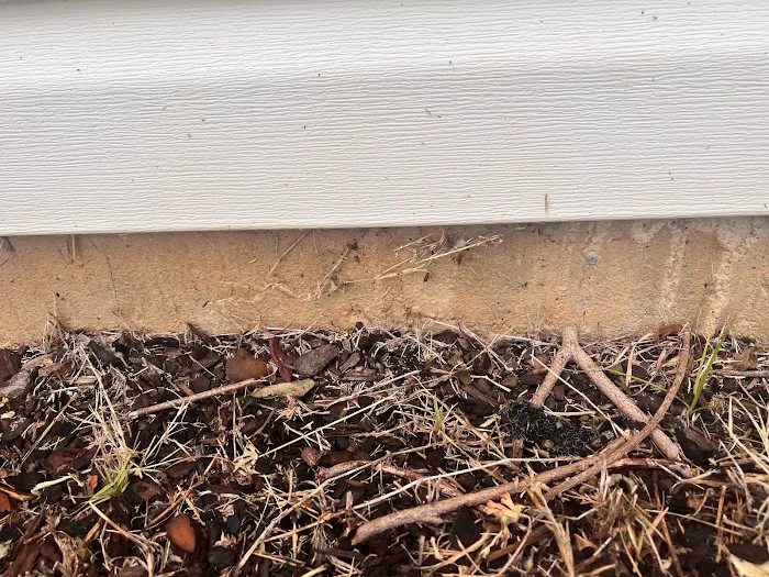 Core Pest Solutions Picture 10