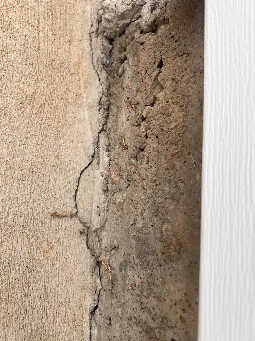 Core Pest Solutions Picture 7