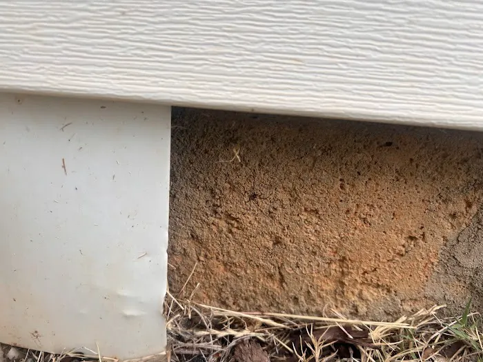 Core Pest Solutions Picture 4