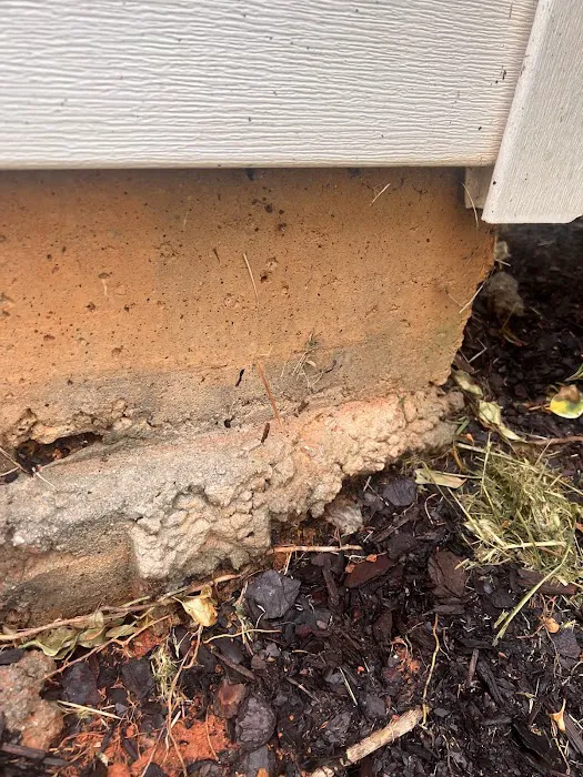 Core Pest Solutions Picture 9