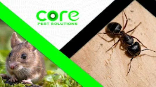 Core Pest Solutions Picture 8