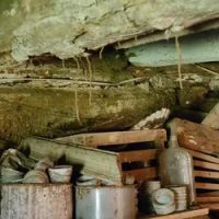 Southeast Termite & Pest Control ico