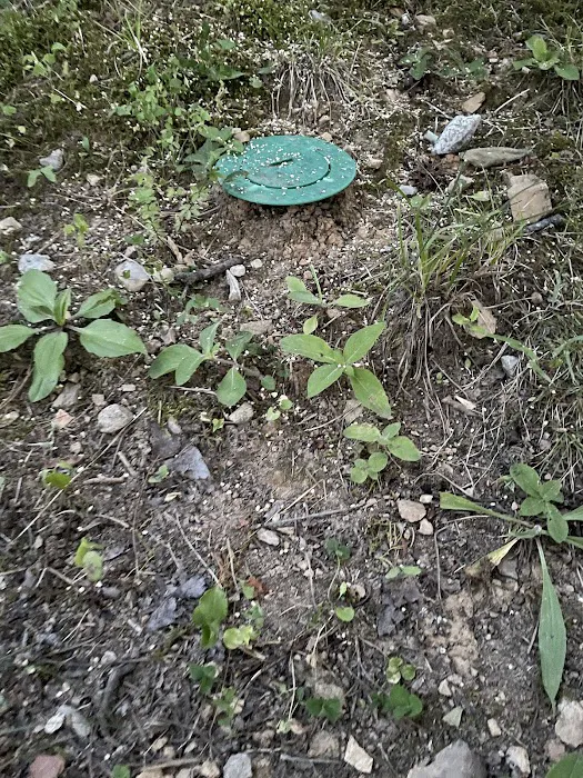 Waynes Pest Control Picture 5