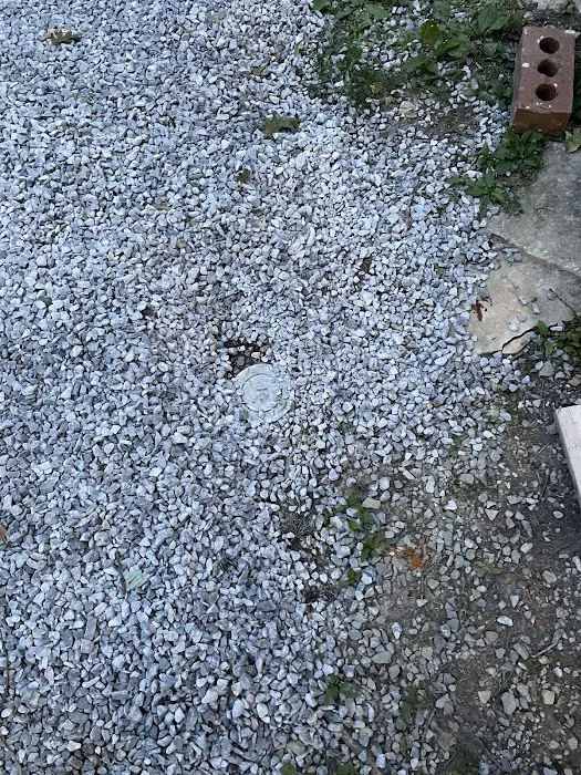 Waynes Pest Control Picture 8