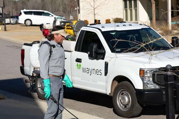 Waynes Pest Control Picture 4