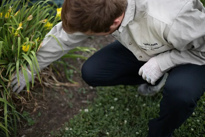 Valor Pest Control LLC Picture 7