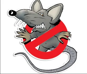 Just In Time Pest Control Picture 2
