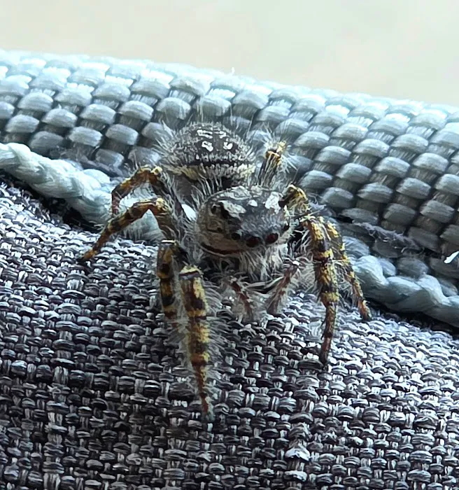 Critter Wranglers, LLC Picture 5