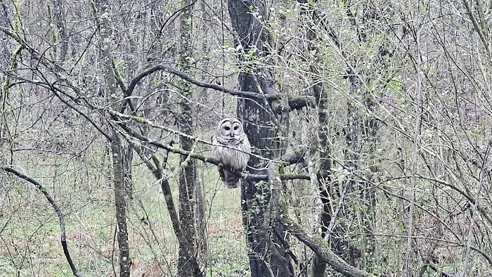 Critter Wranglers, LLC Picture 7