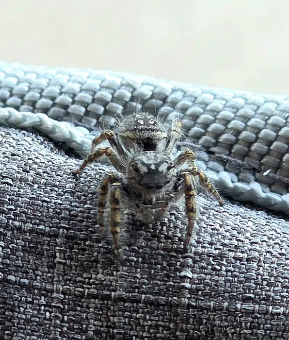 Critter Wranglers, LLC Picture 8