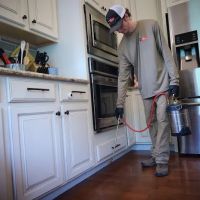 Q36 Pest Control ico