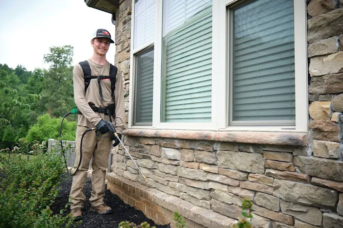 Q36 Pest Control Picture 10