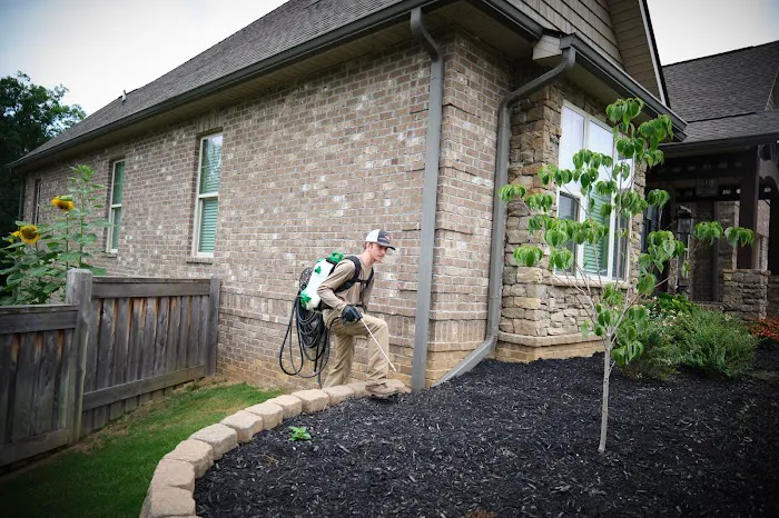 Q36 Pest Control Picture 6