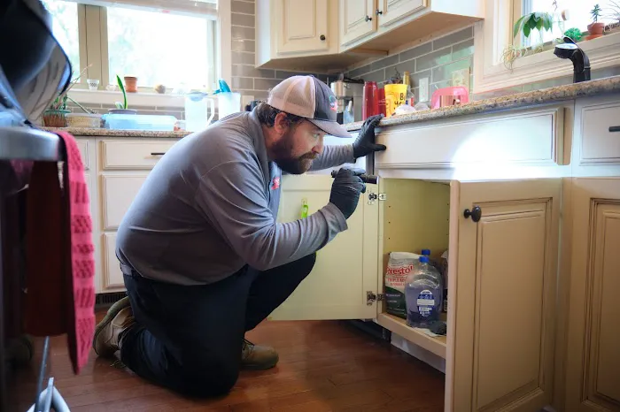 Q36 Pest Control Picture 7