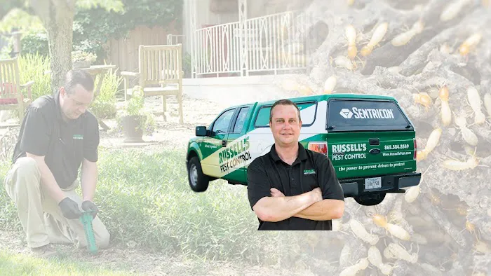 Russell's Pest Control Picture 8