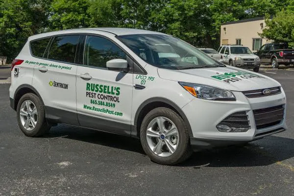 Russell's Pest Control Picture 1
