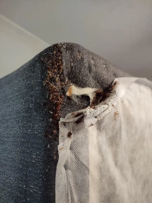 Red Hawk Pest Control Picture 8