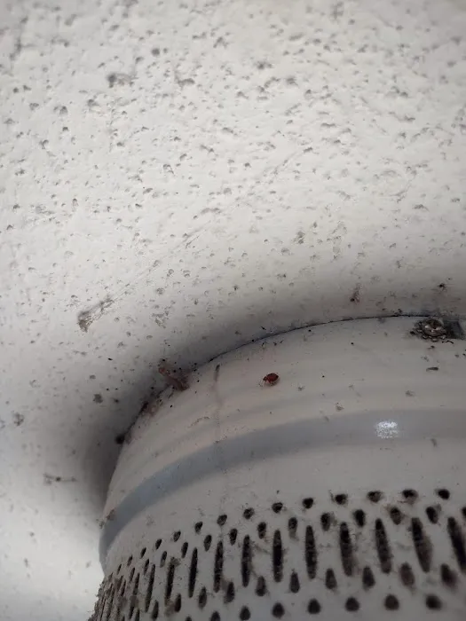 Red Hawk Pest Control Picture 1