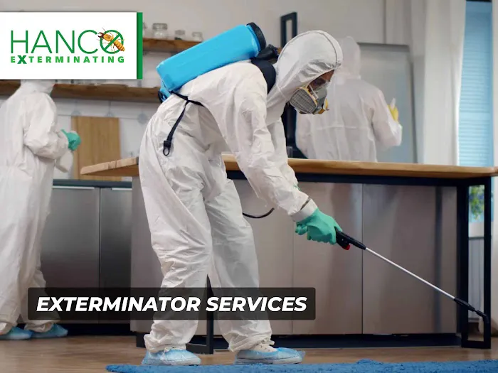 Hanco Exterminating Picture 3