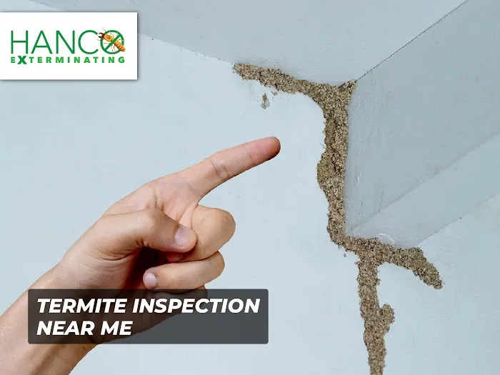 Hanco Exterminating Picture 6