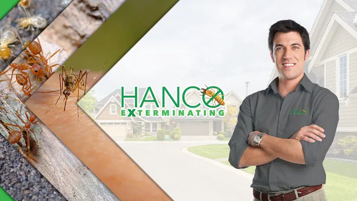 Hanco Exterminating Picture 8