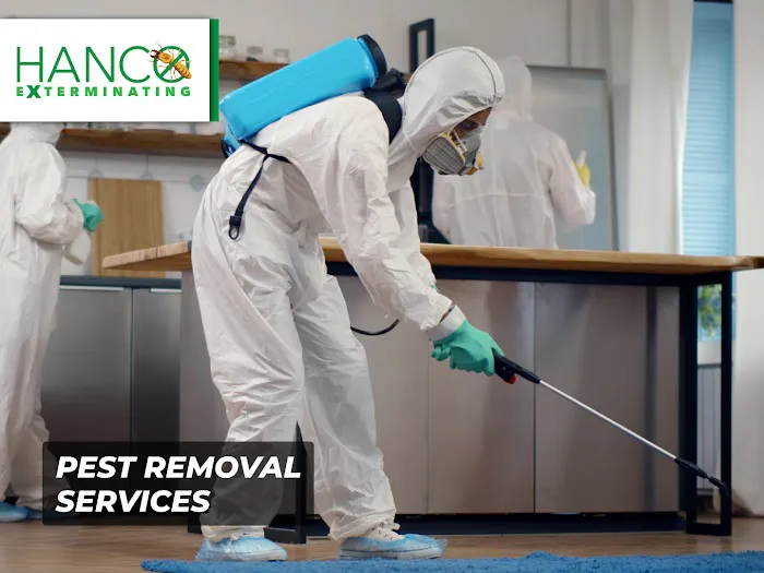 Hanco Exterminating Picture 7