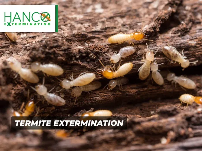 Hanco Exterminating Picture 5