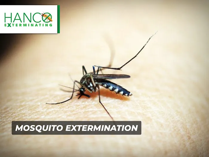 Hanco Exterminating Picture 10