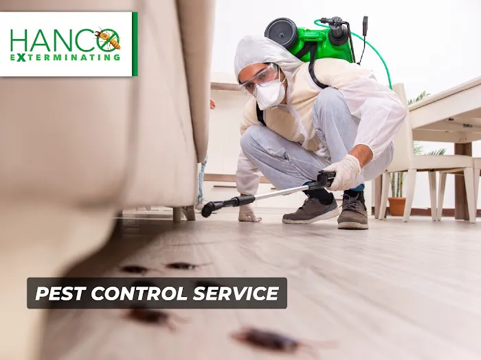 Hanco Exterminating Picture 4