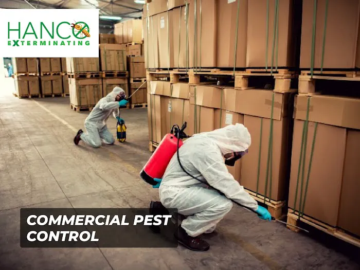 Hanco Exterminating Picture 9