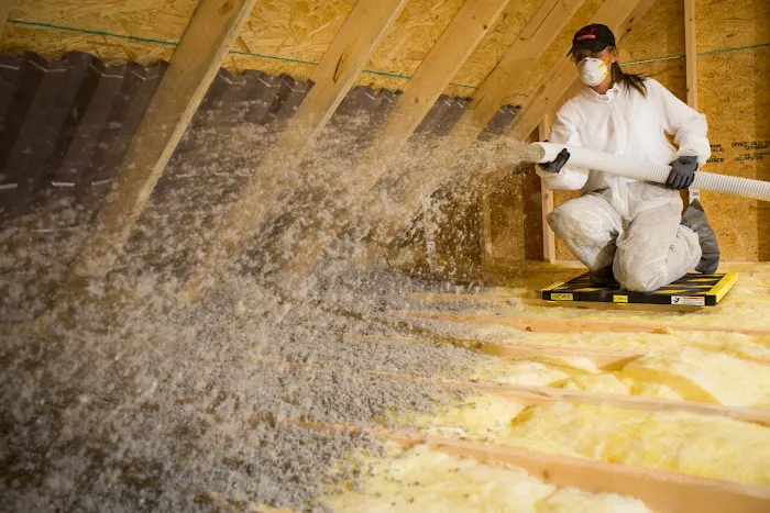 Pest Control Insulation Picture 10