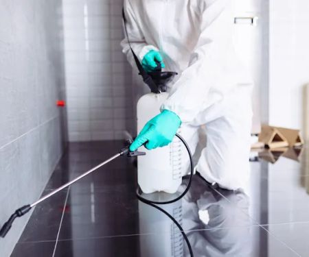 The Terminator Pest Control Service