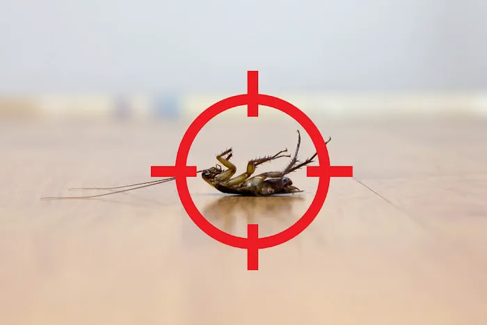 The Terminator Pest Control Service Picture 2