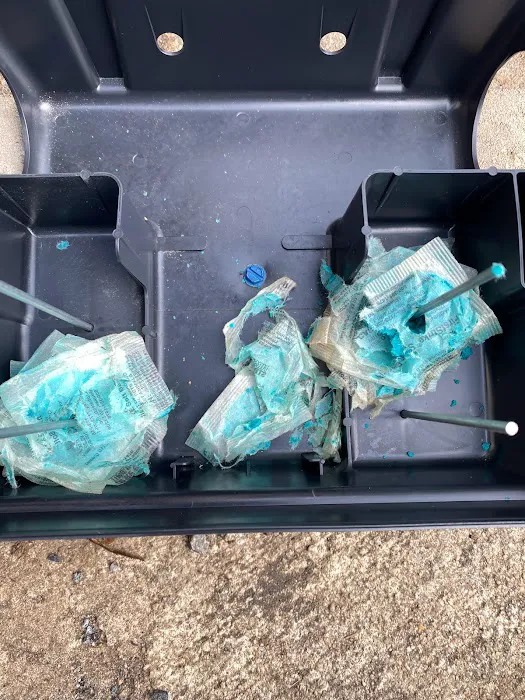 Grace Valley Pest Control Picture 6