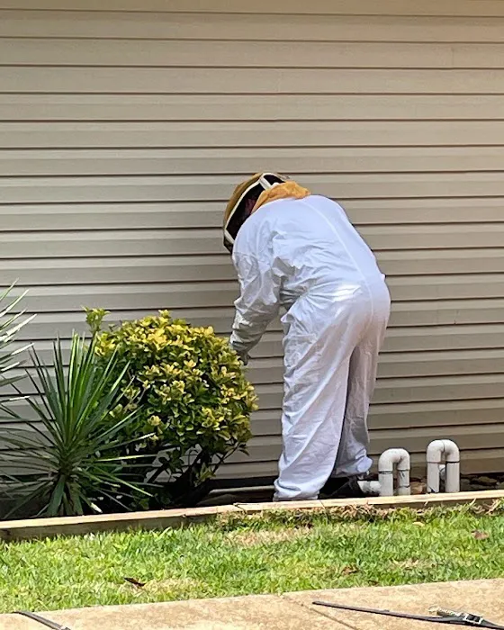 Grace Valley Pest Control Picture 5