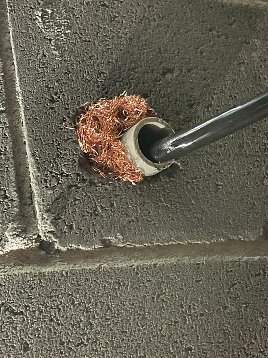 Grace Valley Pest Control Picture 9