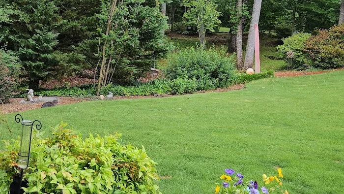 Thrive Turf LLC Picture 8