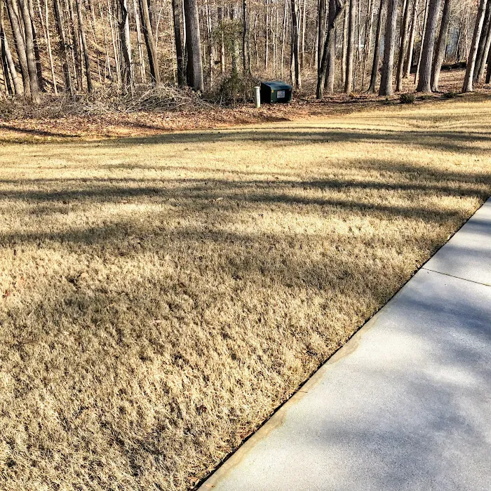 Thrive Turf LLC Picture 7