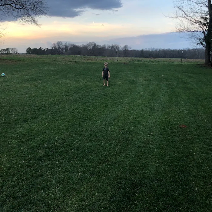 Thrive Turf LLC Picture 3