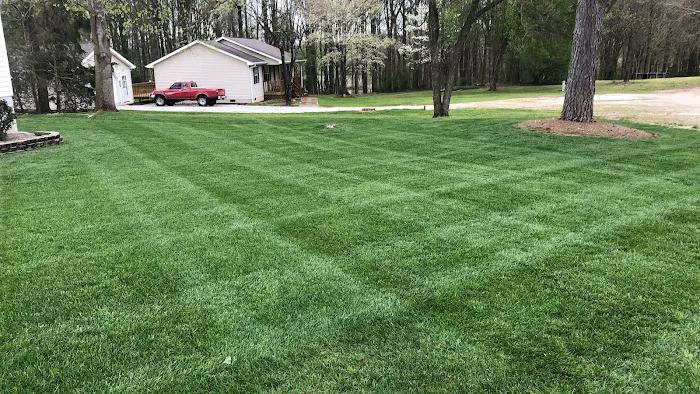 Thrive Turf LLC Picture 4