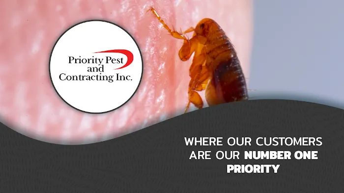 Priority Pest & Contracting, Inc Picture 7