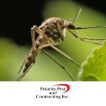 Priority Pest & Contracting, Inc