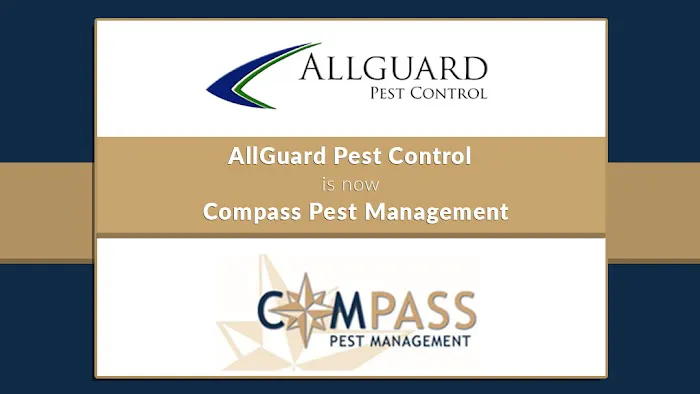 AllGuard Pest Control Picture 1
