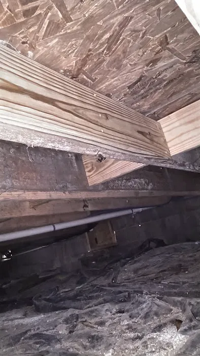 Upstate Pest Solutions Picture 10
