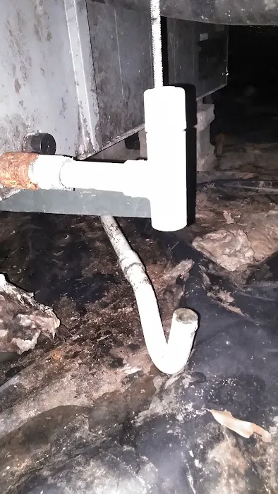 Upstate Pest Solutions Picture 6