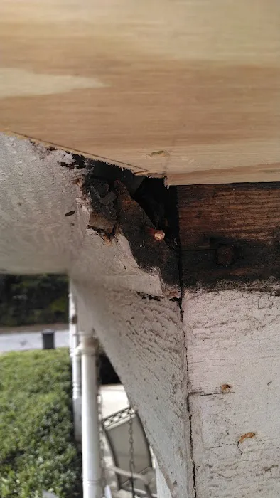 Upstate Pest Solutions Picture 1