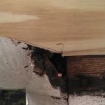 Upstate Pest Solutions