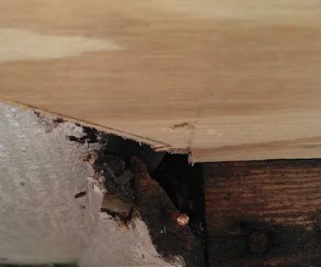 Upstate Pest Solutions