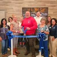 Next Level Pest Control Blue Ridge Ga ico